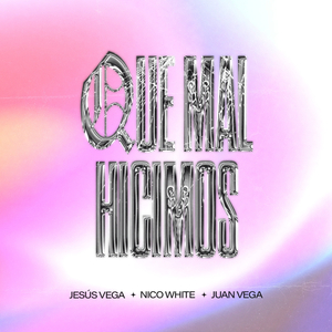 Que Mal Hicimos (En Vivo)