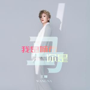 我是城市你是马 (DJ版)