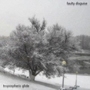 Faulty Disguise