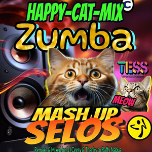Selos (The Zumba Happy Cat Mix)