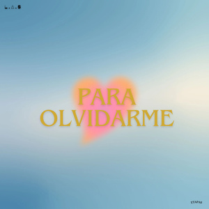 para olvidarme