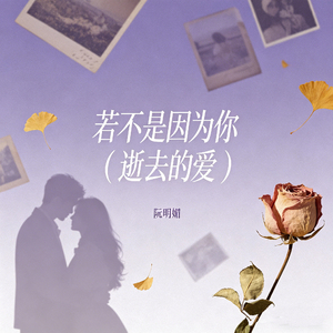 若不是因为你（逝去的爱）