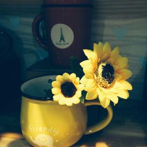 电台《喜欢你，星河万里》.