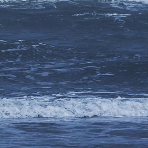 我喜欢你胜过削好的水果周末的零食延后的死线冰镇西瓜正中间的那一口肆无忌惮的赖床和空调房里盖棉被的感觉