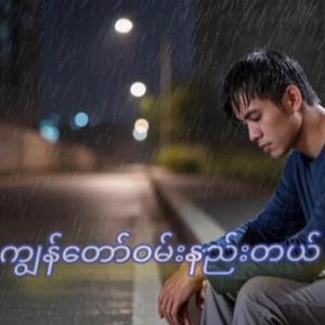 ကျွန်တော်ဝမ်းနည်းတယ်