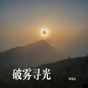 破雾寻光