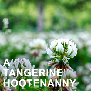 The Old Music Master