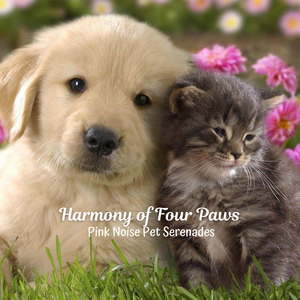 The Quiet Hum of a Purr's Harmony