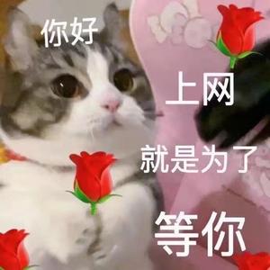 爱丫爱丫