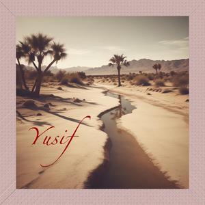 Sunset in the desert