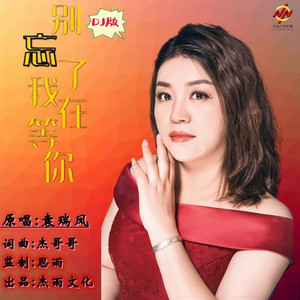 别忘了我在等你 (dj晓朋)