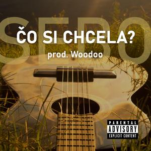 Čo si chcela? (feat. Woodoo)