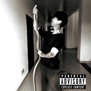 Round trip flight（双飞）