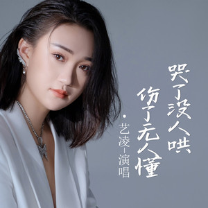 哭了没人哄 伤了无人懂 (DJ西米版)