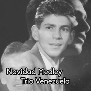 Navidad Medley: Ramos de Alegria / Triste Navidad / Alegrias de Navidad / La Navidad / La Puertas por la Ventana / Arbolito de Navidad