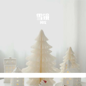 雪境之音 (38)
