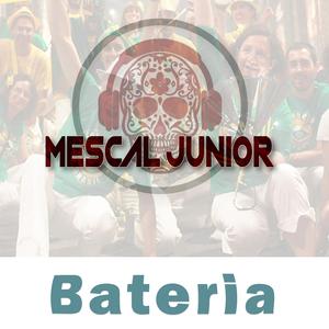 Bateria (Radio Edit)