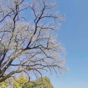 放松心情让人心静的轻音乐（治愈心情钢琴曲）