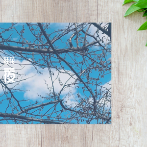 写给黄淮-写给黄淮