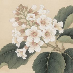 夜晚也在想我-整曲