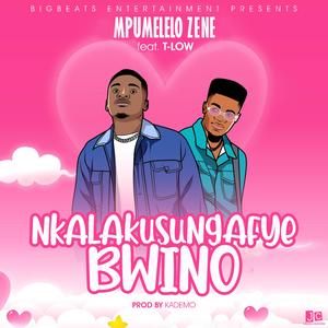 Nkalakusungafye Bwino (feat. T Low)