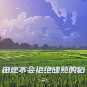 田埂不会拒绝晚熟的稻