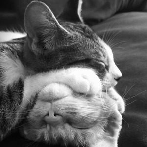 Get Along Better (slowed)