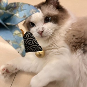 カタオモイ（Piano Ver.）