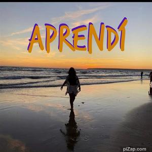 APRENDÍ (Home Version)