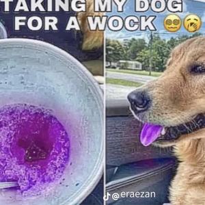 Last cup*!no drank! (feat. Chris feed & Osamaa4oe)