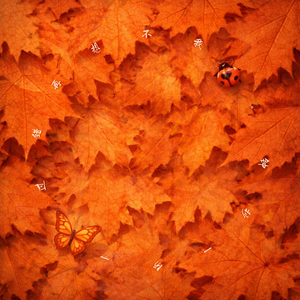 我不想再错过一分一秒钟