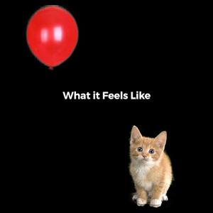 What It Feels Like