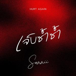 เจ็บซ้ำซ้ำ