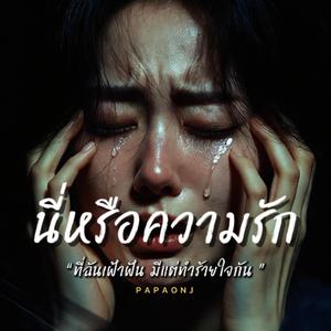 นี่หรือความรัก