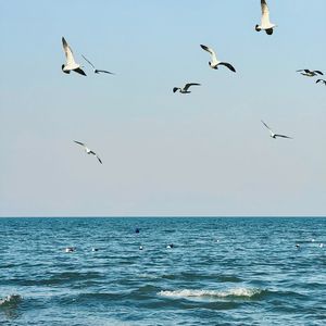 小小（原唱：容祖儿）