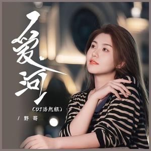 爱河 (DJ浩然版)
