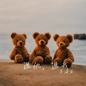 选他，选我