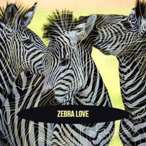 Lets Skip To The Good Bit