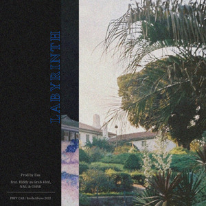 Labyrinth (feat. Riddy as Grab 43rd, NAG & OHSE)