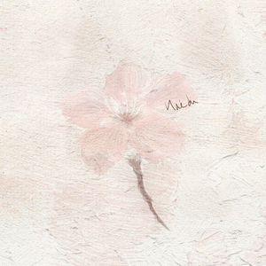 첫사랑의 기억을 꺼내다