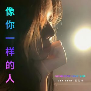 像你一样的人 (Someone Like You)