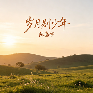 岁月别少年