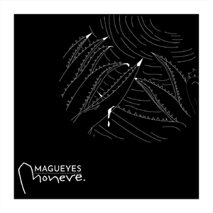 Magueyes