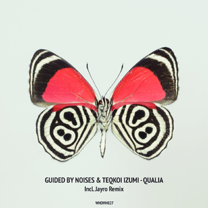 Qualia (Jayro Remix)