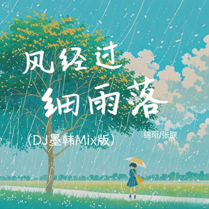 风经过，细雨落(DJ版)