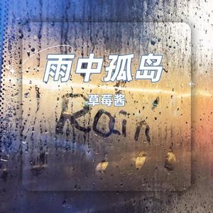 雨中孤岛