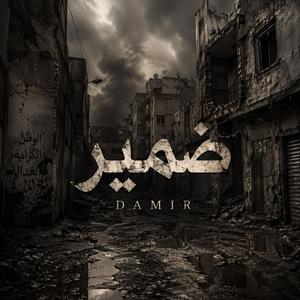 DAMIR