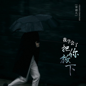 我学会了把你放下 (DJBanan版)