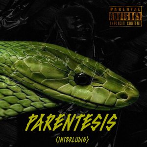 Parentesis (Interludio)