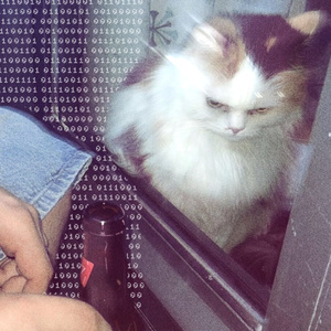 The grill at the centaur